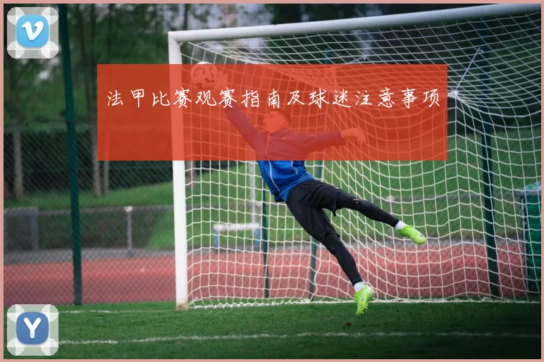 法甲比赛观赛指南及球迷注意事项