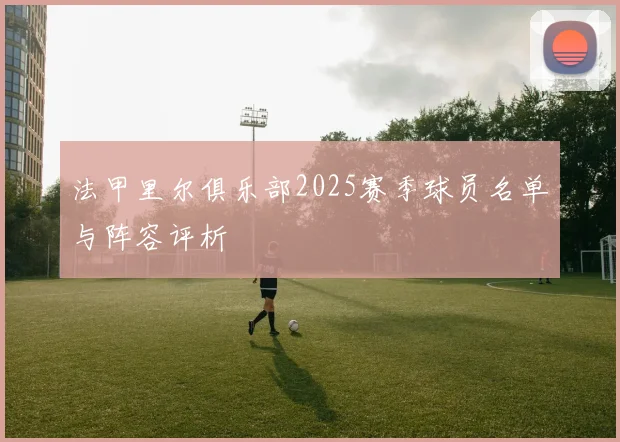 法甲里尔俱乐部2025赛季球员名单与阵容评析
