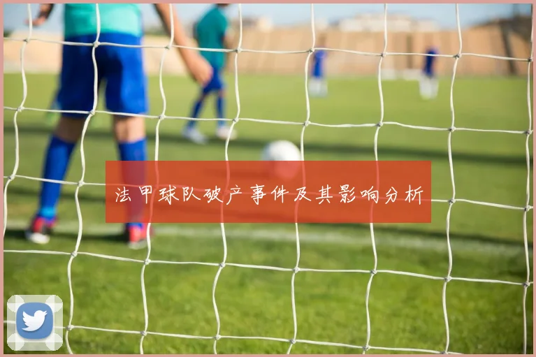 法甲球队破产事件及其影响分析