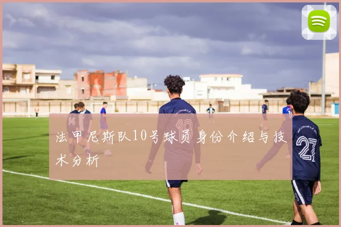 法甲尼斯队10号球员身份介绍与技术分析
